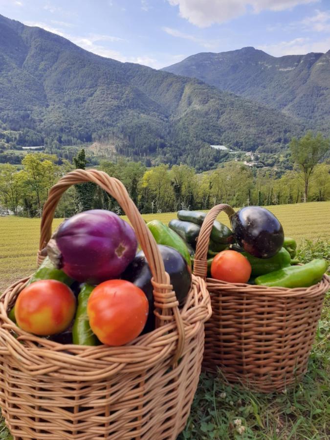 Coste Del Gaggio - Country House B&B - Garda Trentino Дрена Экстерьер фото