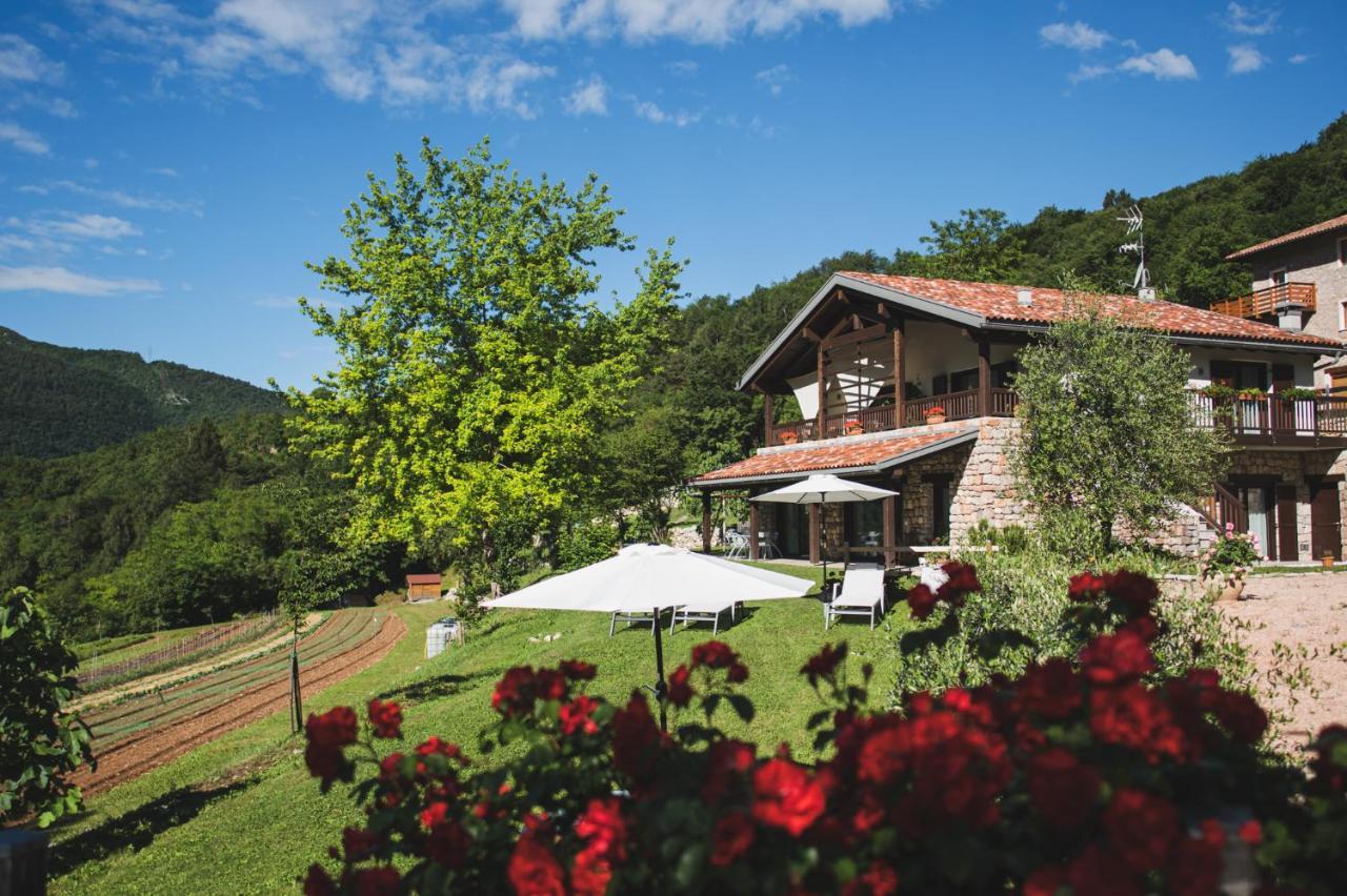 Coste Del Gaggio - Country House B&B - Garda Trentino Дрена Экстерьер фото